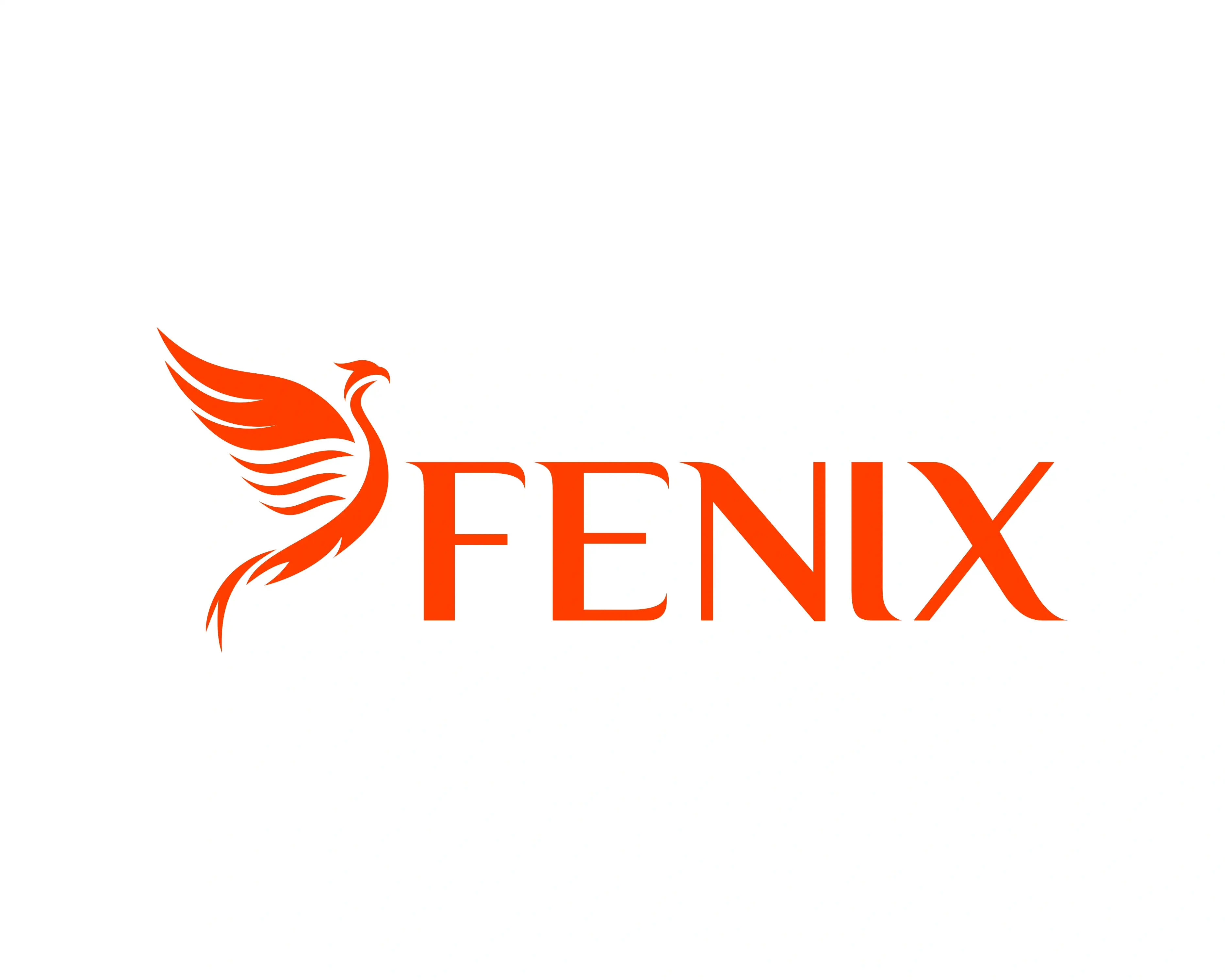 Fenix Project Image 2